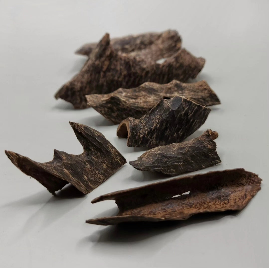 زوايا تراد رويال