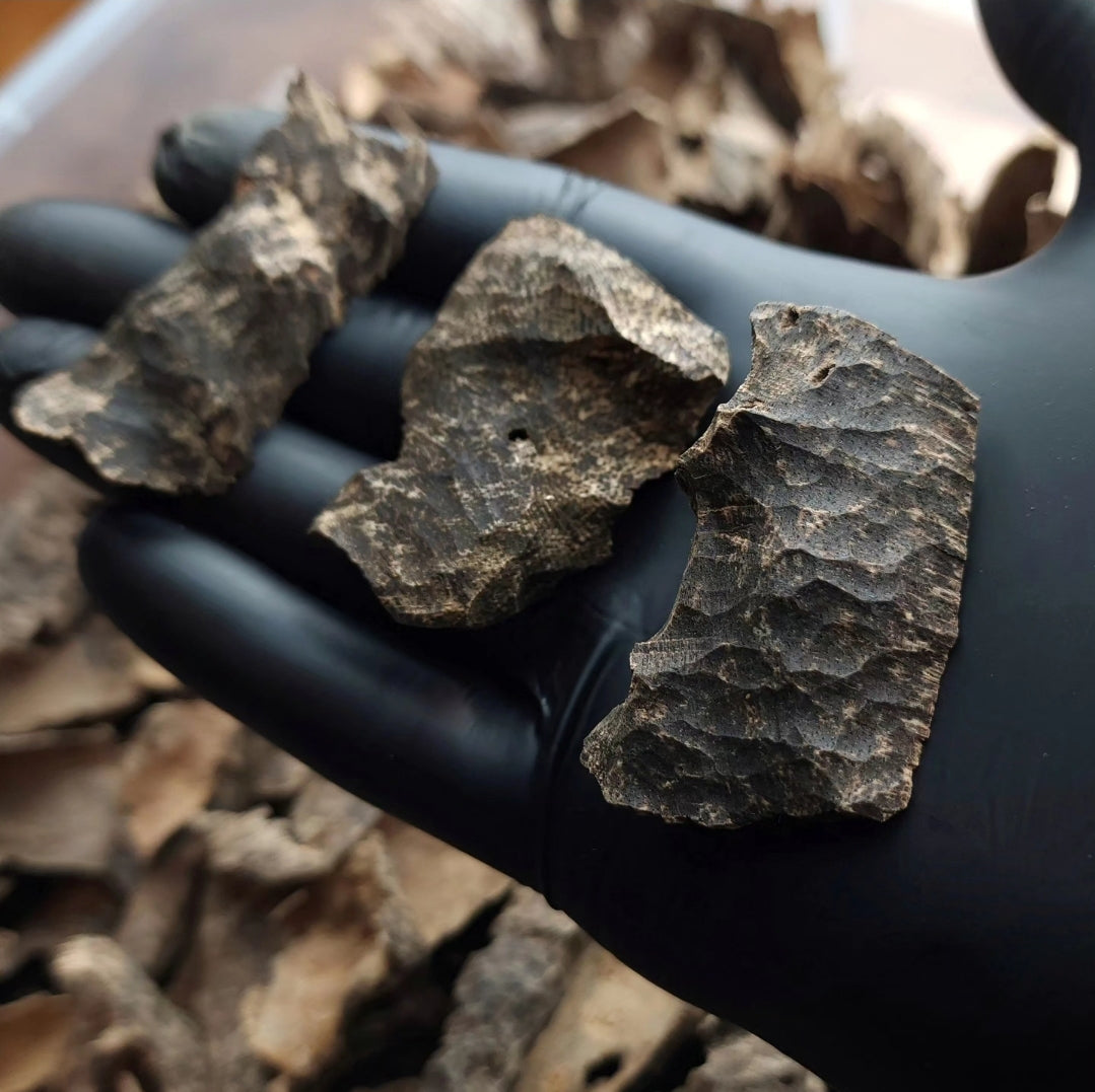 كمبودي سويت VIP