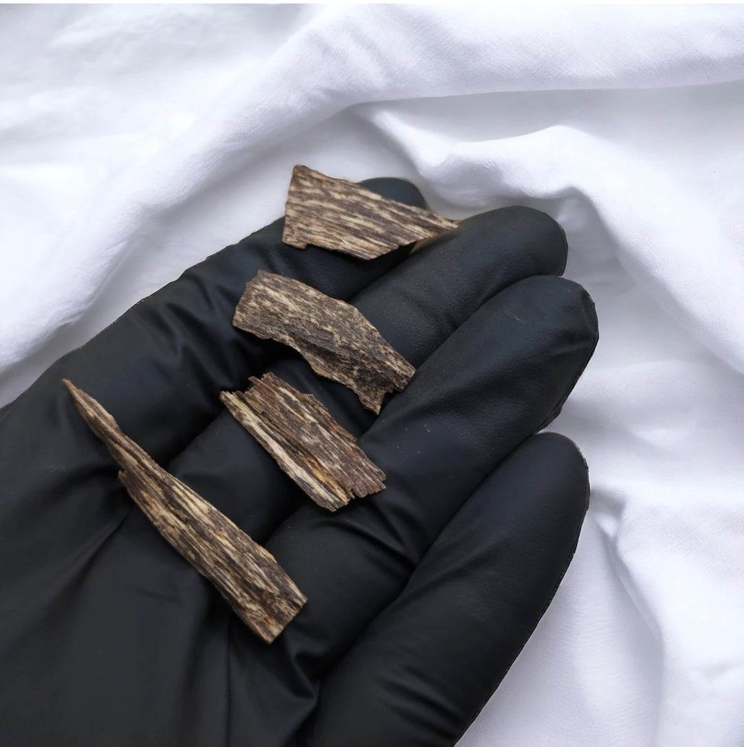 دقة تراد ذهبية