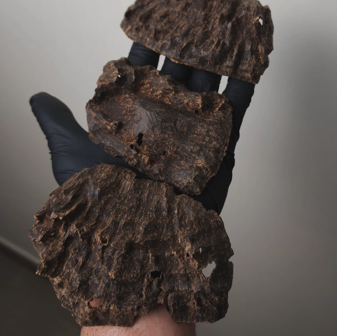 ذهب شرق آسيا