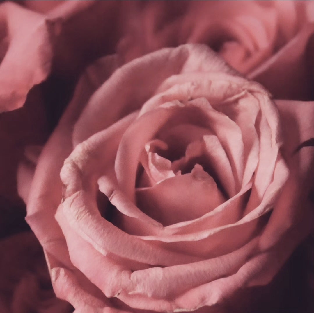 دهن ورد كشميري صافي