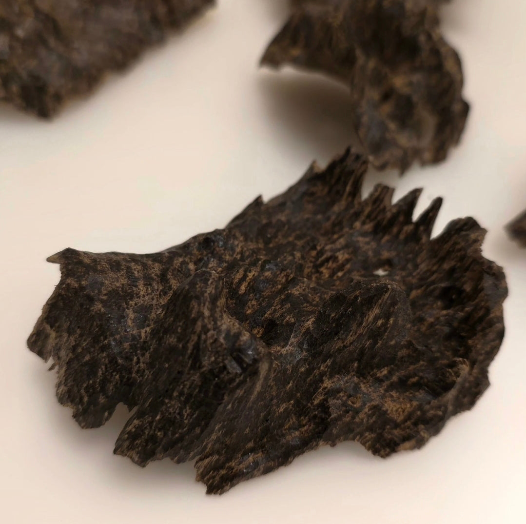 جار جنوب تايلاند رويال